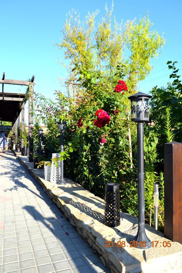 Bed and Breakfast Resedinta Rotundu Butuceny Exterior foto